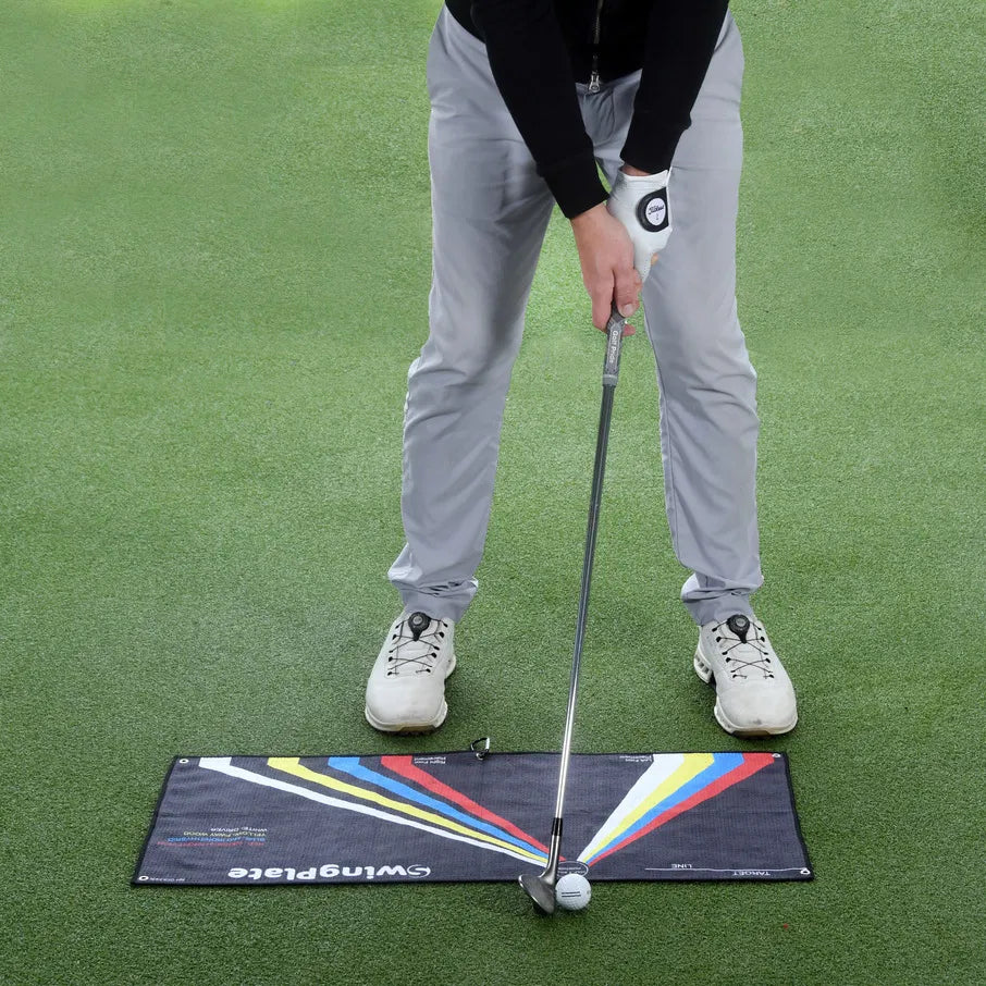 THE SWING PLATE TOWEL