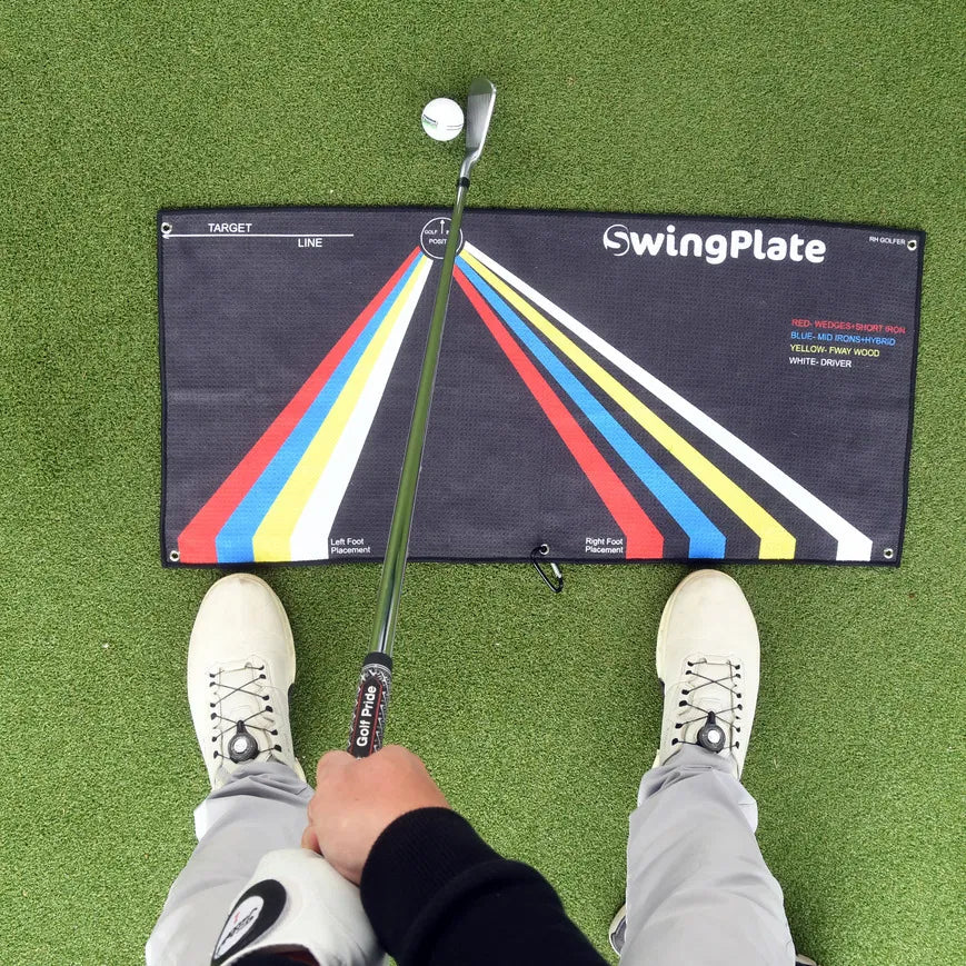 THE SWING PLATE TOWEL