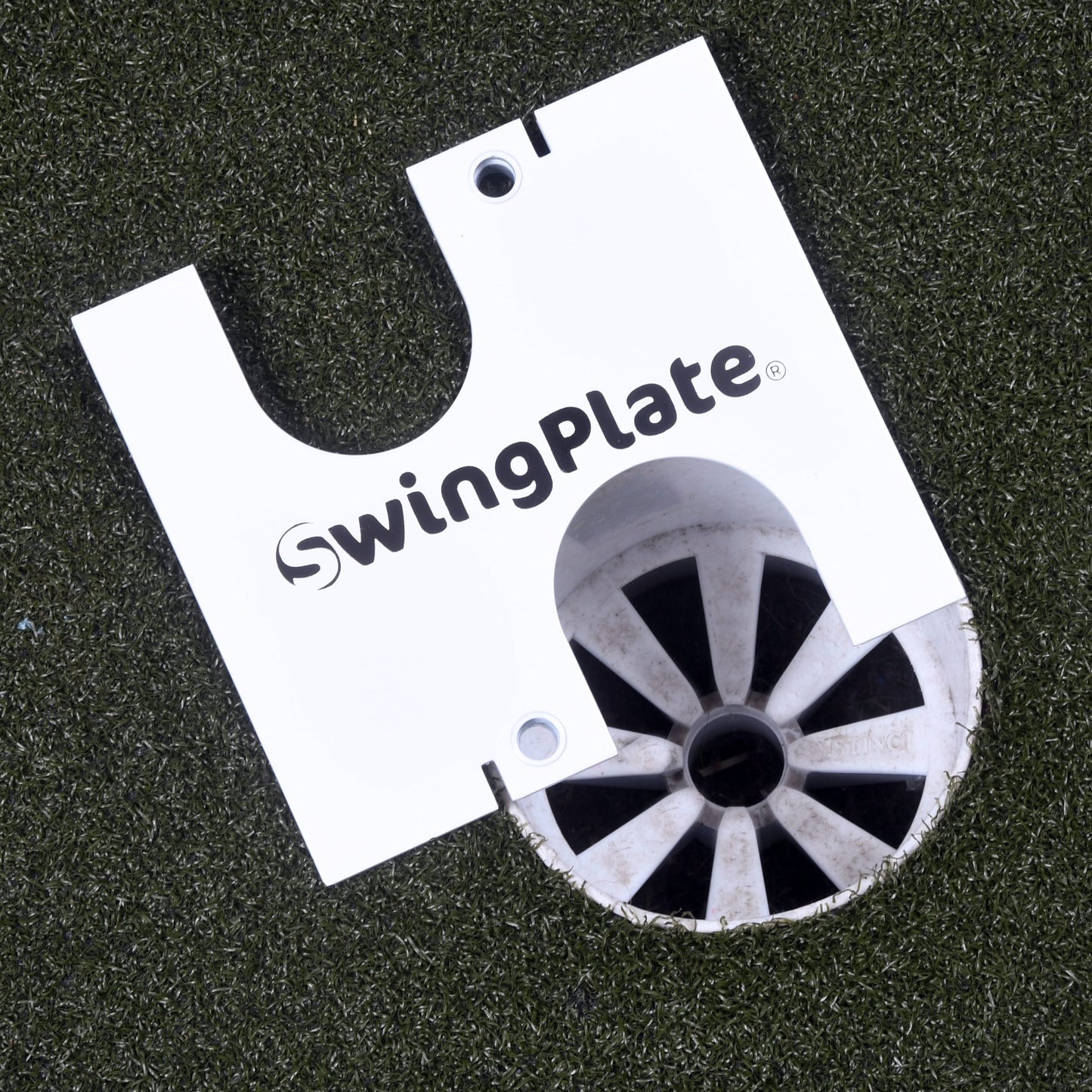THE SWING PLATE PUTTING GATE