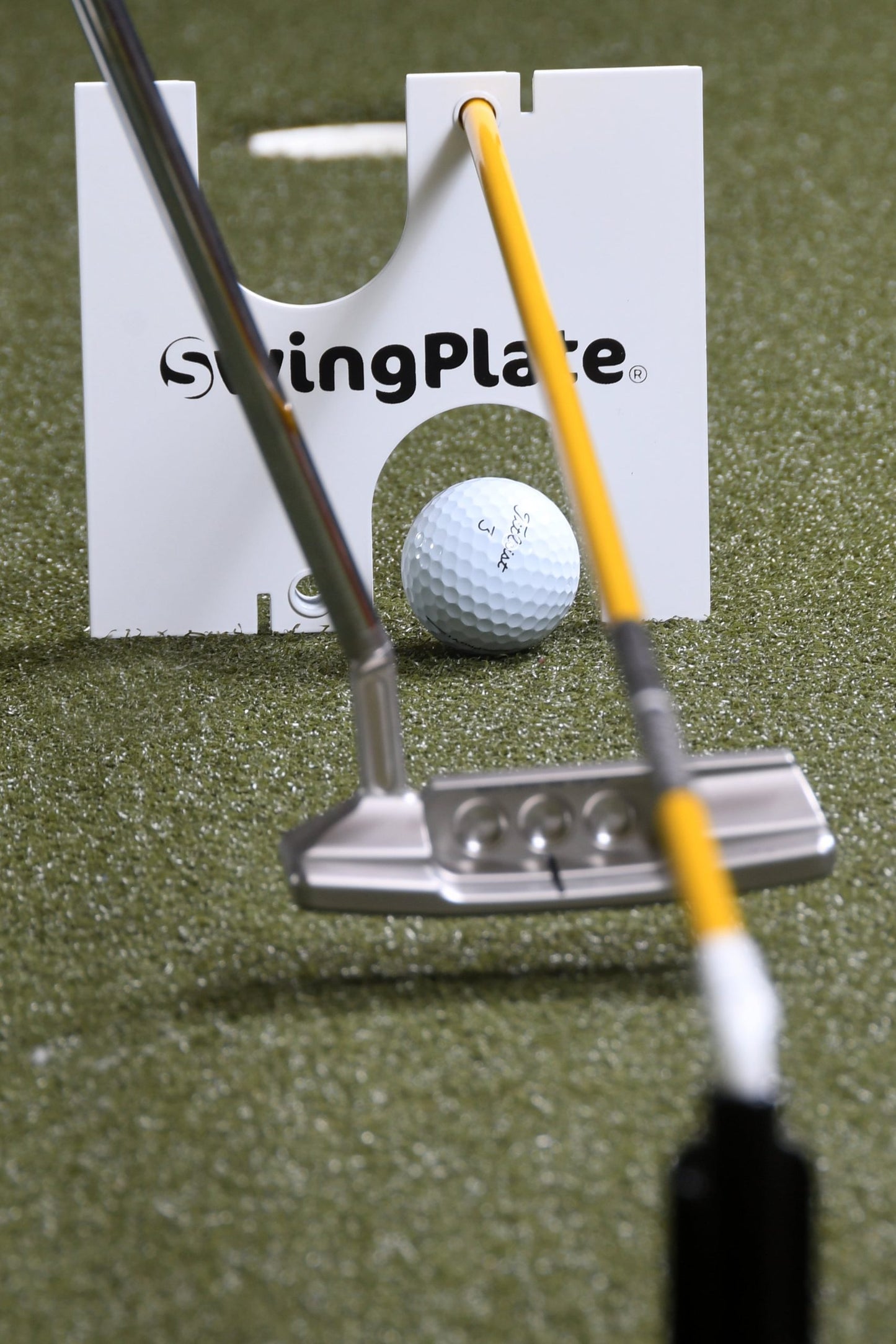 THE SWING PLATE PUTTING GATE